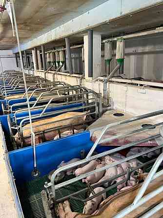 Продаж виробниче приміщення приміщень - 1, поверх - 1/1 Винница