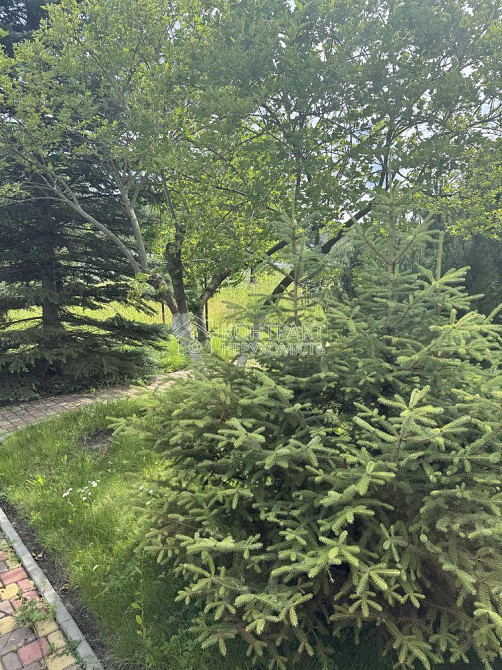 Продаж Будинок 5-кімнатний на вул. Санаторная  - фото 9