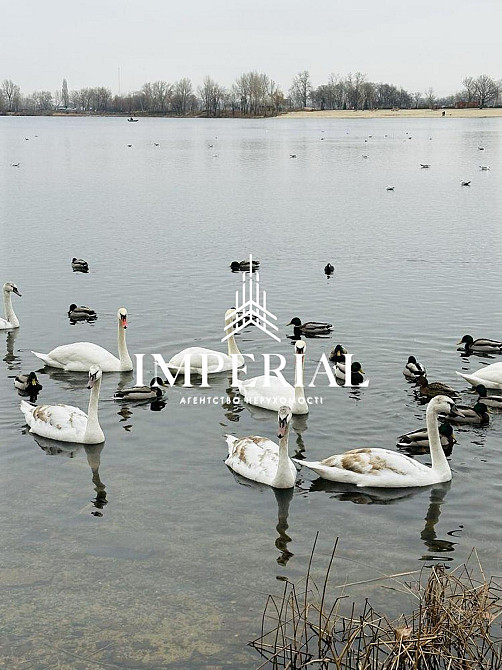 Продаж Будинок 3-кімнатний на вул. Богатирська Kiev - photo 19