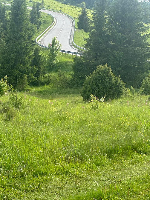 Продаж земельної ділянки 82 соток Турка - фото 1