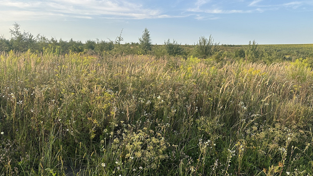 Продаж земельної ділянки 10 соток Baikivtsi - photo 3