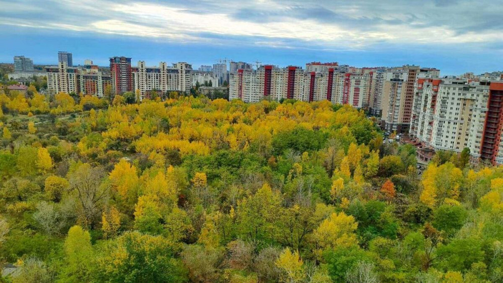 Продаж Квартира 1-кімнатна, 19/23 поверх на Михайла Максимовича вул. (Онуфрія Трутенка) Киев - изображение 4