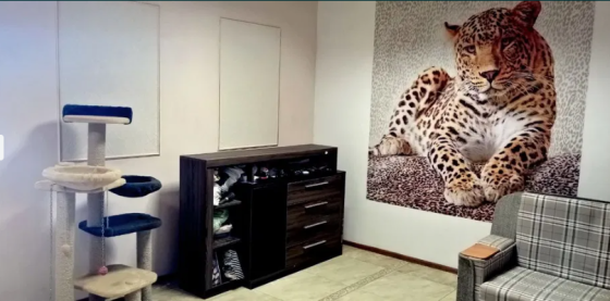 Продам дом + минимаркет в Корсунцах (ул.Заболотного) Корсунці