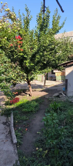 Продам дом и участок на Слободке (в районе ул.Нежданова) Odessa - photo 2