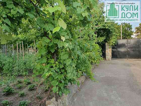 Продам розкішний будинок з гарною садибою у Вільному. Кропивницький