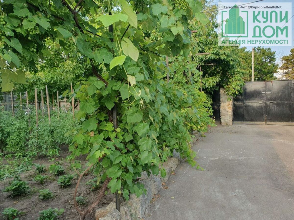 Продам розкішний будинок з гарною садибою у Вільному. Кропивницький - фото 6