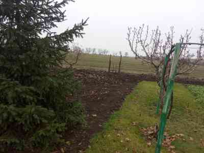 Продаж земельної ділянки 0.1 соток на ул. Кирова, 65 Іллінка