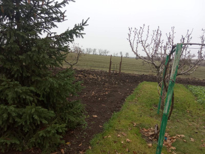 Продаж земельної ділянки 10 соток на ул. Кирова, 65 Іллінка - фото 2