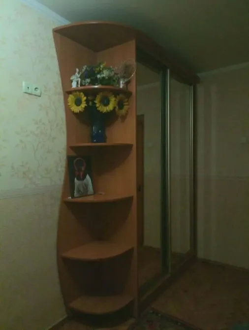 Аренда 1к Комната 45 кв.м Мясоедовская 6 Одесса - изображение 9