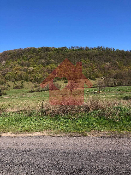 Продаж земельної ділянки 1 га  - изображение 6