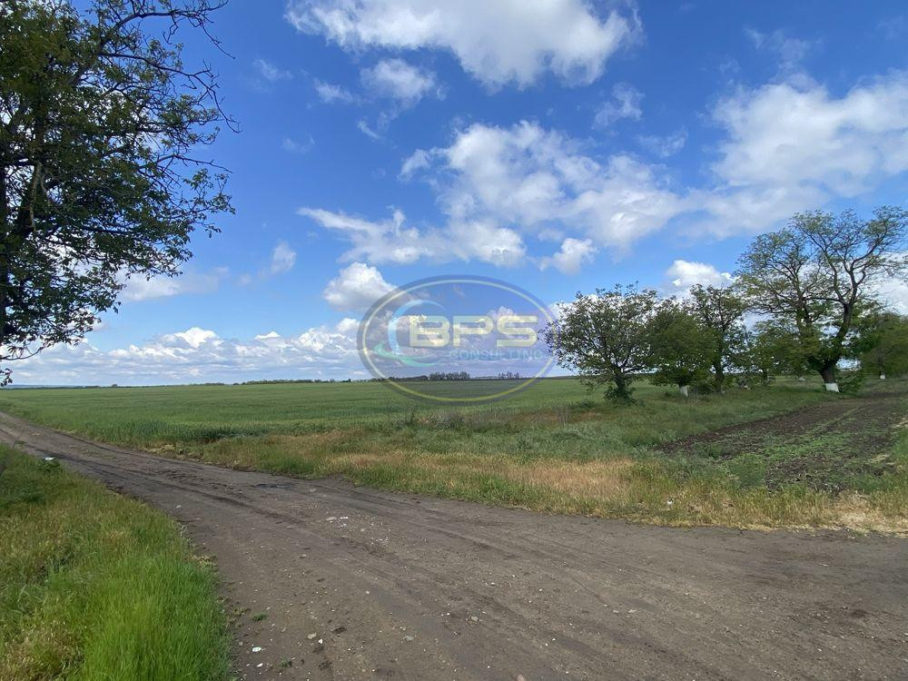 Продаж земельної ділянки 1.83 соток Новотроїцьке (Любашівський район) - фото 6