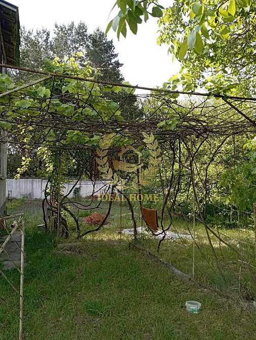 Продам будинок в Бортниках Bortnyky - photo 20