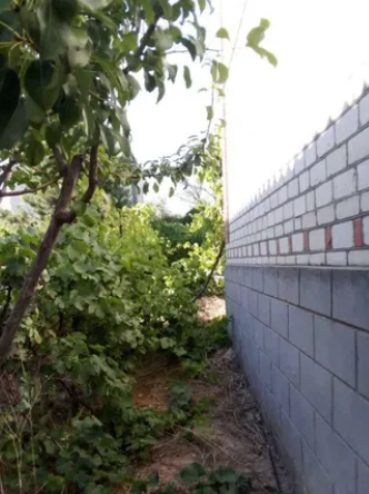 Дом в Кристиновке Yehorivka - photo 13