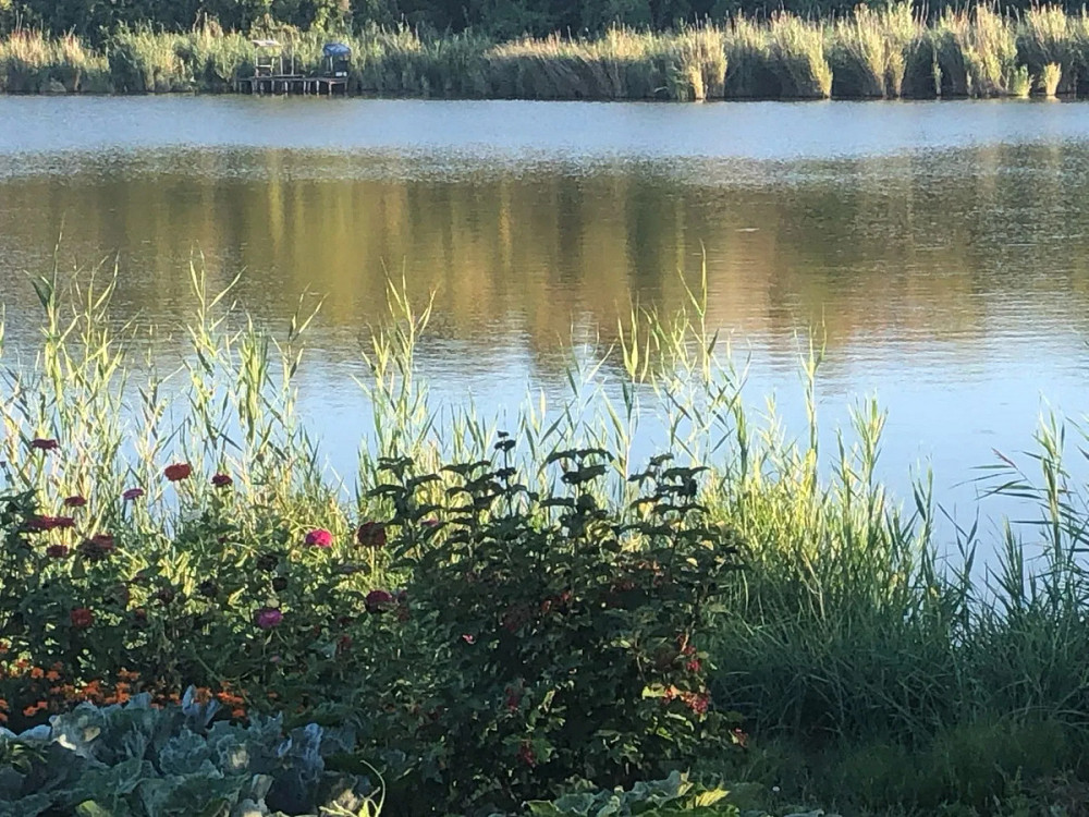 Продається будинок із садом та виходом до річки Високі Байраки - фото 13