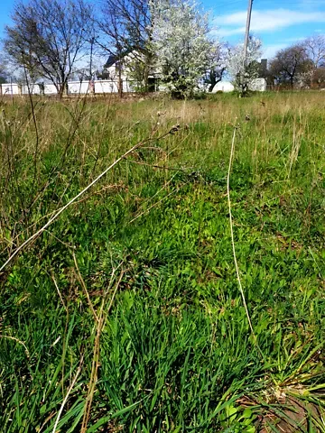 For sale land plot  area 15 ares Галицька вулиця  - photo 1