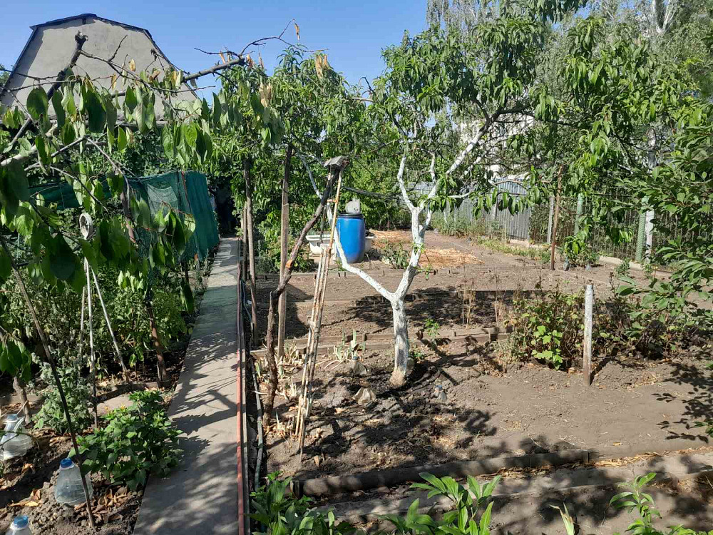 Продам дачу в с.Христиновка возле Хаджибеевского лимана Єгорівка - фото 16