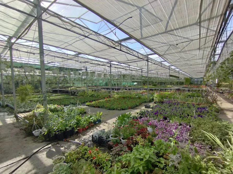 Здається Будівля / павільйон / комплекс площа 2200 кв.м Минай Патруся Карпатського Минай - фото 4