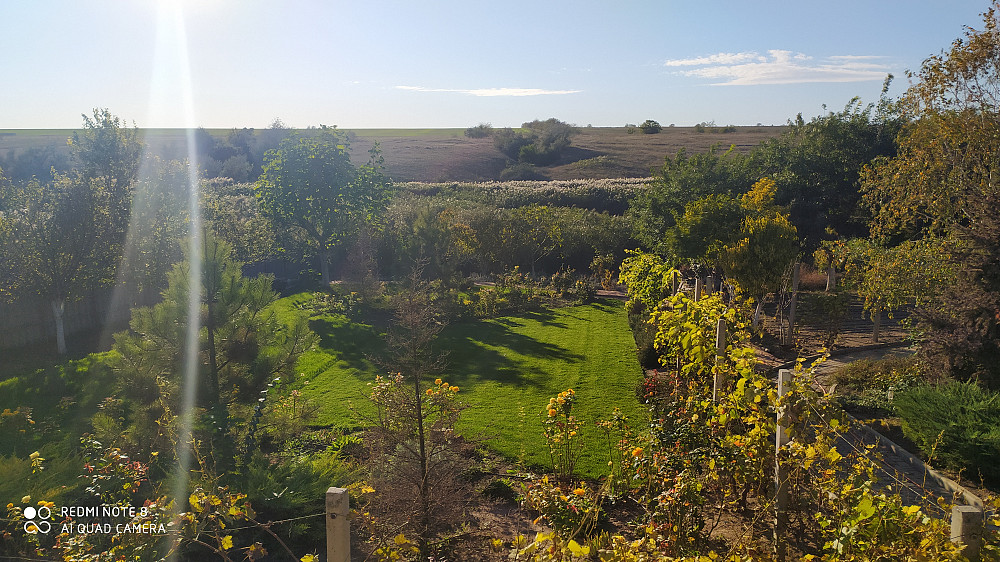Продаётся прекрасный дом-усадьба в с. Великий Дальник Великий Дальник - фото 15