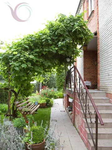 Оренда 2-поверховий   100 кв.м 3 кімн. на Центральна вулиця  - фото 9