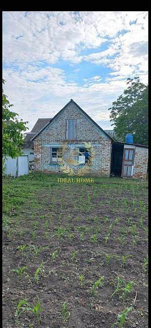 Продається будинок у тихому спокійному місці Гайок (Білоцерківський район) - фото 5