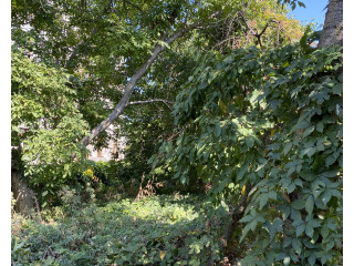 Продаж земельної ділянки 0.1 соток на ул. Долгая, 120 Одеса - фото 1