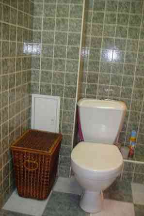 Оренда Квартира 1-кімнатна, 3/18 поверх на ул. Ларисы Руденко, 10 Київ