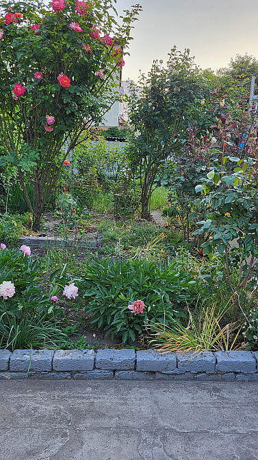 Продаж Будинок 2-кімнатний на ул. Линия 2, Марии Демченко, 1 Odessa - photo 2