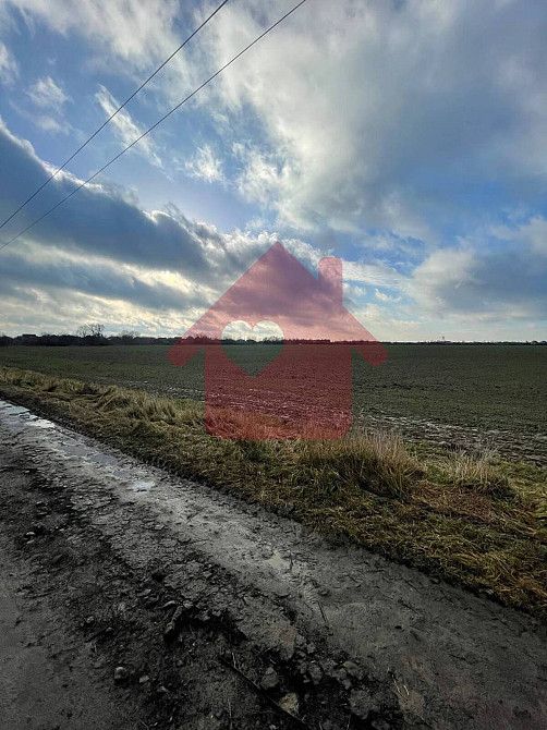 Продаж земельної ділянки 2 га  - фото 4