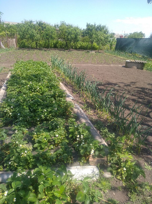 Продається приватний будинок Кропивницький - фото 2