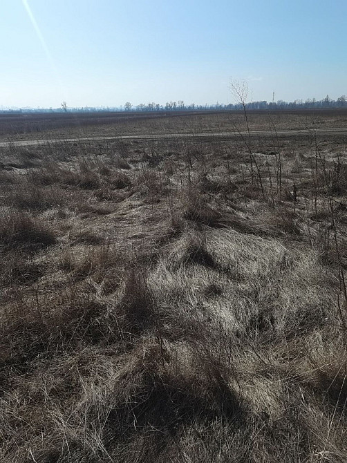 Продаж земельної ділянки 12 соток на вул. Садова Pohrebы - photo 7