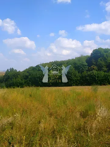 Продажа земельного участка  площадь 14 сот 4  - изображение 7