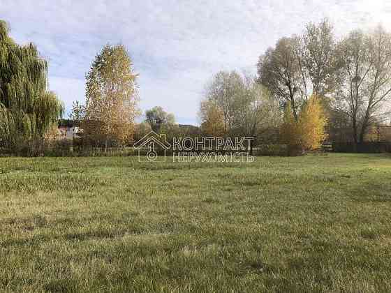 Продаж Будинок 5-кімнатний на вул. Березова Bezliudivka