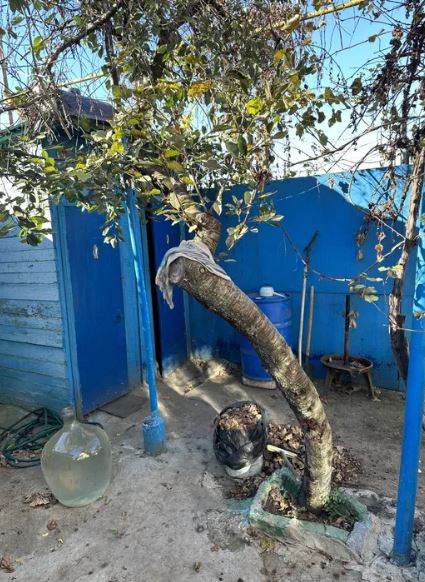 Дача в Черноморке. Одеса - фото 5