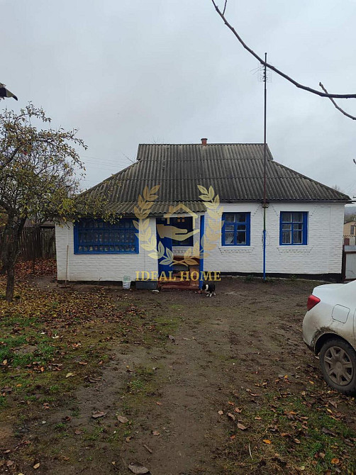 Продам будинок в Бушевому  - фото 1