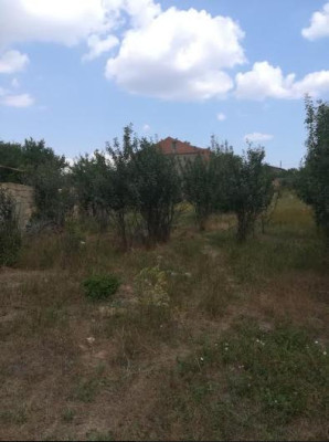 Продаж земельної ділянки 0.2 соток на ул. Грушевского, 9 Молодіжне - фото 5