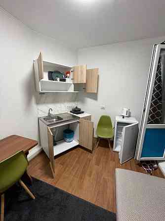 Оренда Квартира 1-кімнатна, 24/24 поверх на Самійла Кішки, 5а Київ