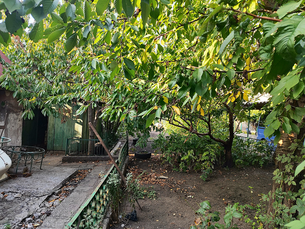 Продам дом в  с.Ильинка. Іллінка - фото 1