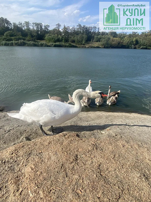 Дачний будинок Кооператив Ятрань. Кропивницький - фото 19