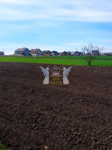 Продажа земельного участка  площадь 31.5 сот Січових стрільців вулиця  - изображение 2