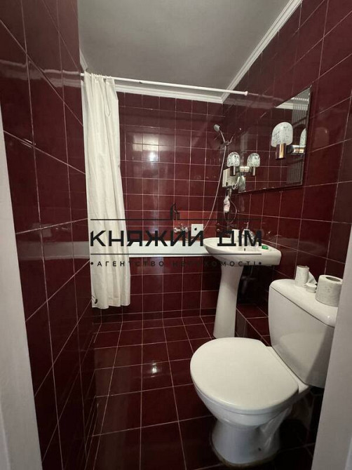 Оренда Квартира 1-кімнатна, 9/9 поверх на Леси Украинки бульв. / Л.Украинки бул Киев - изображение 9