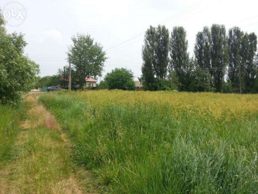 Продаж земельної ділянки 20 соток  - фото 1