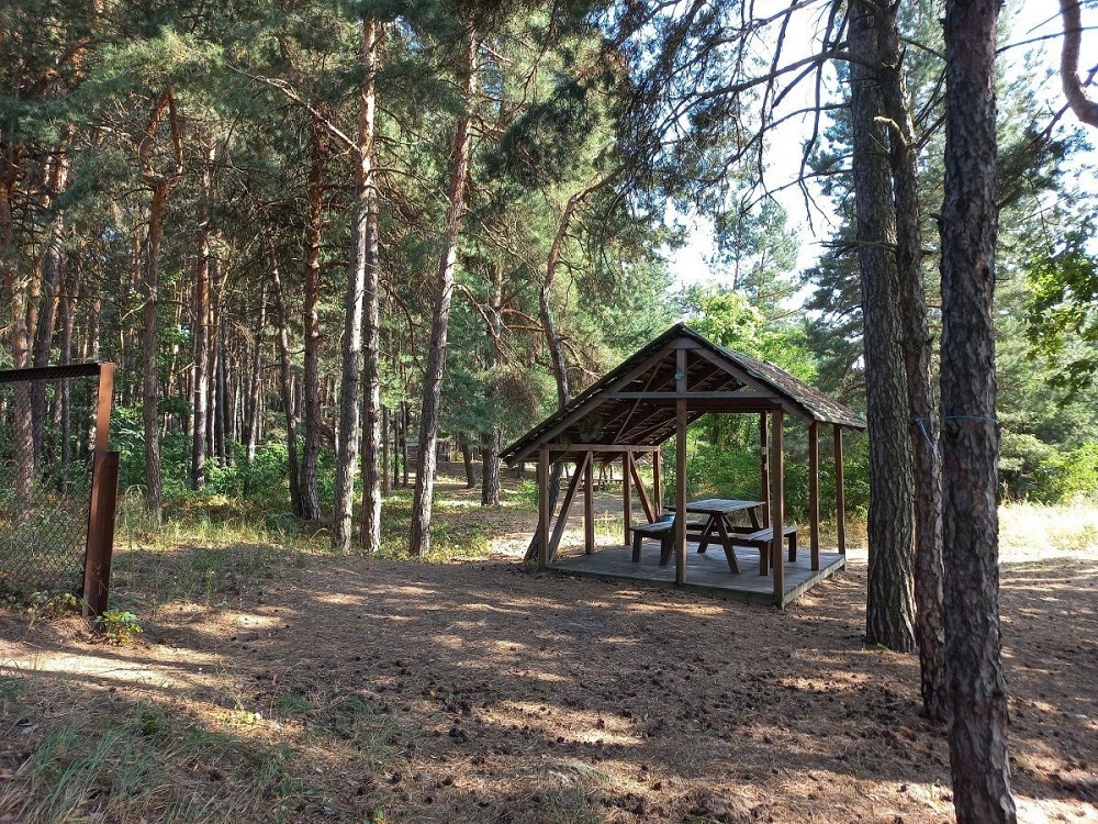 Продаж приміщення вільного призначення на улица Софиевская, д.5 поверх - 1/2  - изображение 3