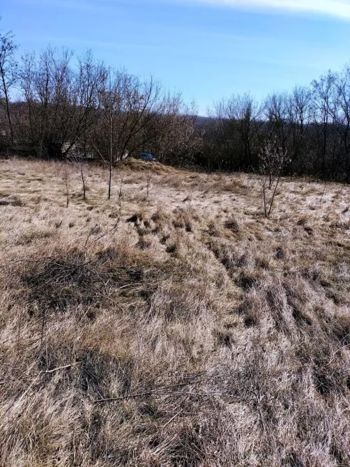 Продажа земельного участка Для строительства частного жилого дома площадь 15 сот село Миколаївка Днепр - изображение 10