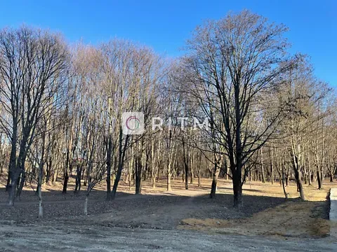 Продажа 2к Квартира 68.8 кв.м ЖК Caramel Residence Луцк - изображение 5