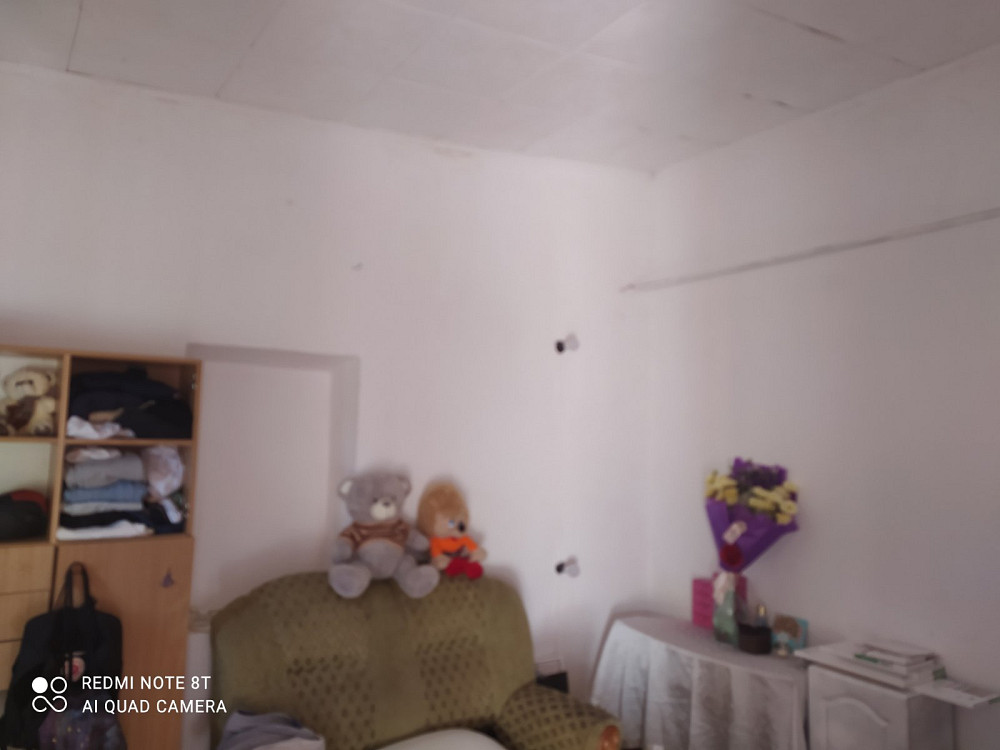 Предлагается к продаже частный дом с готовым бизнесом (действующим фермерским хозяйством) Нерубайське - фото 8