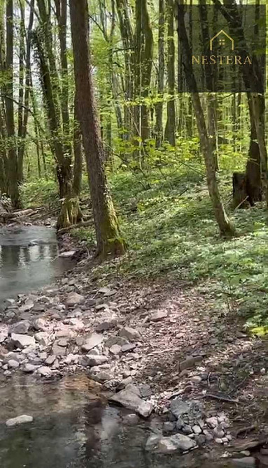 Продаж Будинок Onokivtsi - photo 7