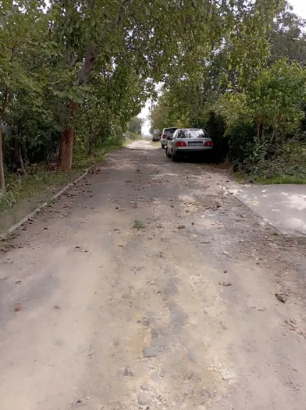 Продам дачу на берегу Хаджибеевского лимана (СМ "Отрадово", Болгарка) Odradove - photo 15