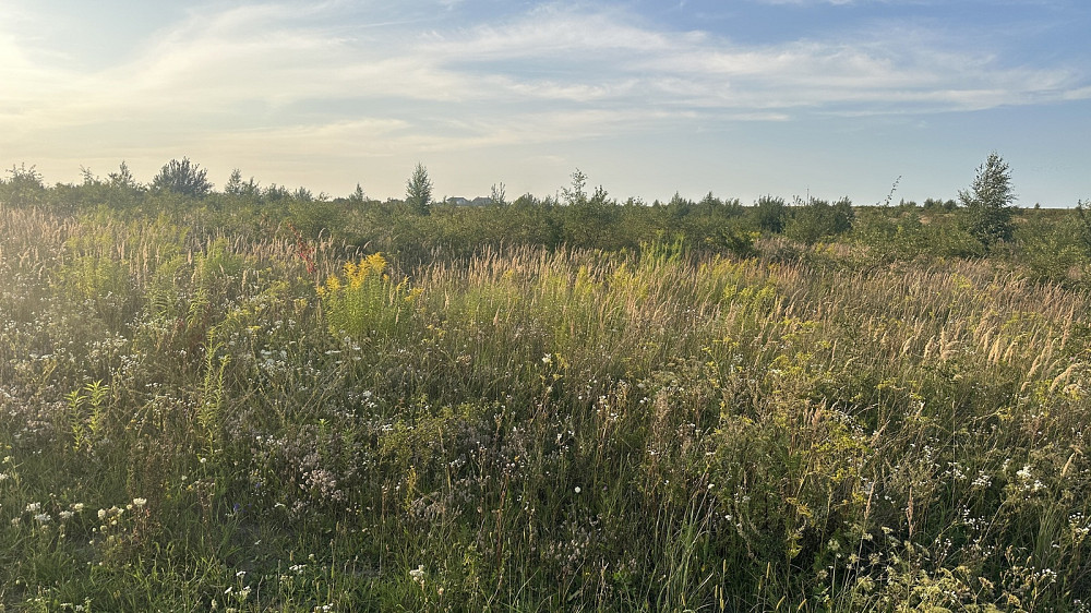 Продаж земельної ділянки 10 соток Baikivtsi - photo 4