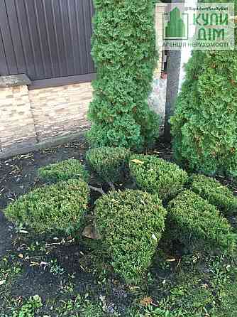 Продам садибу в тихому та затишному місці с.Знамянка. Водяне (м Знам'янка район)