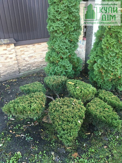 Продам садибу в тихому та затишному місці с.Знамянка. Водяне (м Знам'янка район) - фото 5